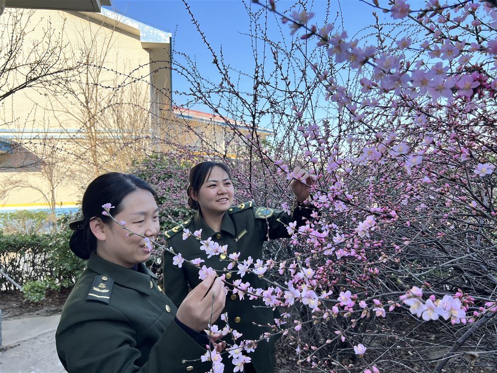 威县收费站站区粉红的桃花一簇一簇争先开着，女职工们闲暇之余前来赏花。